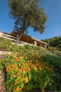 Chalets Les Terrasses de Scaglioli : photos des chambres