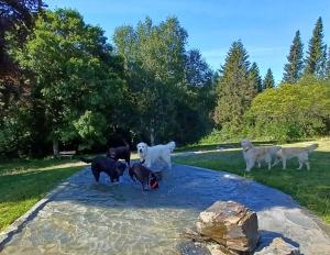 Landhaus Schlossberg