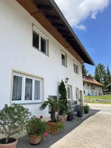 Jung 1 - 诺伊基希