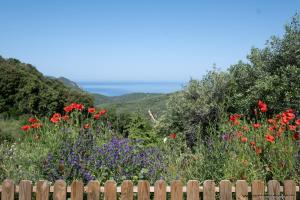 Chalets Les Terrasses de Scaglioli : photos des chambres