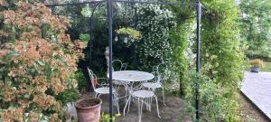 Albi à proximité, maison dhotes les oliviers