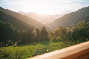 Balbeinhof Apt Hirsch