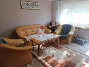 Apartament Przy Puszczy Białowieskiej - 哈伊努夫卡
