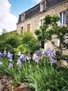 Maisons de vacances Manoir des Vites, Charming Country House : photos des chambres