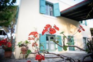 Kos Gaia Garden House