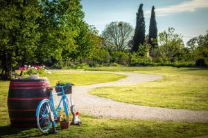 Camping Freedom Istria Pitches