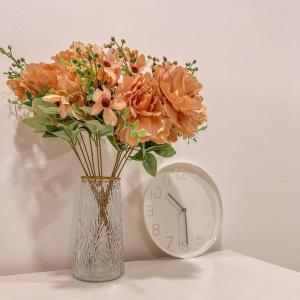 [Starry x DELUX] 8-10pax *free Netflix access