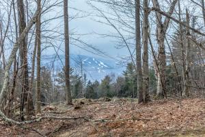 Mountainside at Stowe