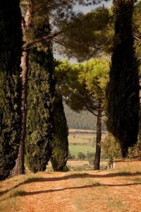 Agriturismo Podere Tresa