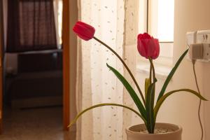 Central Two Bedroom Apartment in Bugibba