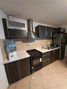 Departamento centrico San Rafael - Los Sauces