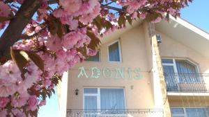 Pension Adonis Uschhorod Ukraine