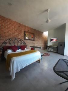 Loft con Jardín amplio 3