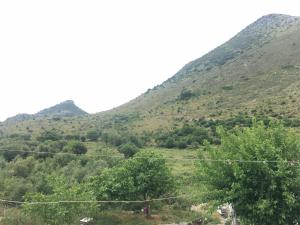 Pyrrichos Stone House