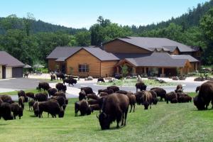 obrázek - Creekside Lodge at Custer State Park Resort