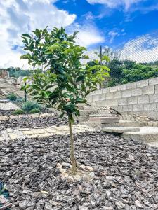 Villa SALMAGI - Sardegna img28