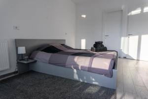 Central David Residence 2