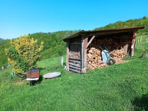 Chalets Gite du pic vert : photos des chambres