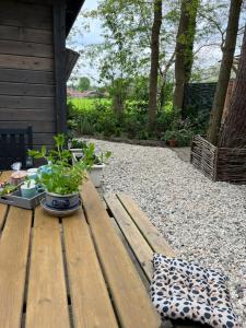 Vrijstaand Houten huis in het bos