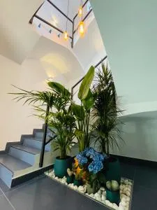 Apartamentos BRAVO MURILLO con garaje en centro histórico - La Risca