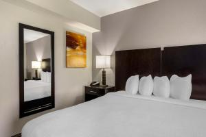 Best Western Plus- Jonesboro