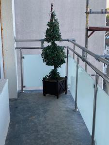 Apartment-Hohenstein