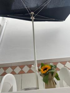 Terra Salentina Wine apartment