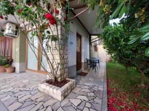 Apartma Niko