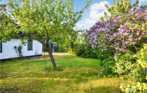 Pet Friendly Home In Beddingestrand