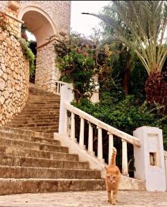 Kaş, Kalkan, Club Patara tatil köyünde villa