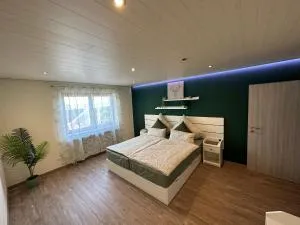 Bähnleblick Blumberg - Beggingen