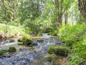 Chalet Schwarzenberg near Ski Lift & Stream