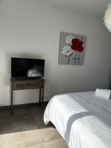 Appartements T2 climatise a Porticcio, 100m de la plage wifi fibre : photos des chambres