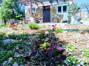 Isolated, 30m to sea, Viktoria s cottage