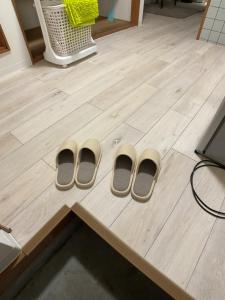 The Mickey Carlton Ohashi 107