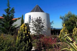 Mill Studio room in Salgadinho Casa de Campo & Selao da Eira Velha