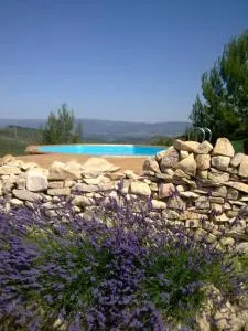 Soleil bleu - 罗尼