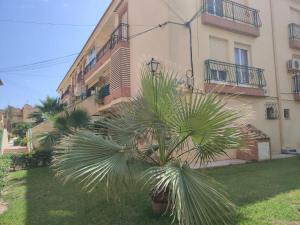 Spectacular Apartment in Mar Azul , Torrevieja