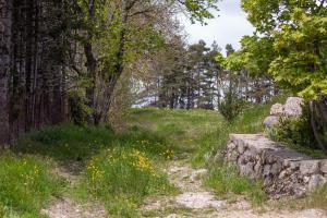 Maisons de vacances Le Randon - Wifi - Campagne - Parking : photos des chambres