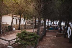 Parcela para autocaravana máximo 6 metros, incluye luz, WIFI y ducha room in Camping TajoRodillo