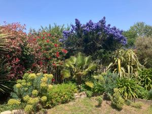 Maisons de vacances Maison de vacances a 8 min des plages par un chemin enchanteur : photos des chambres