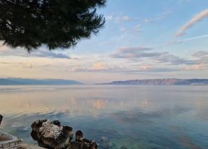 Blue Seagull - Seafront Holiday Home