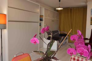 Appartements Le VISCOS a AGOS-VIDALOS : photos des chambres