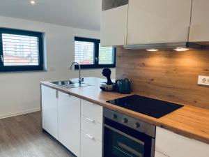 Villa Kovačeva 15, app 2, free parking 