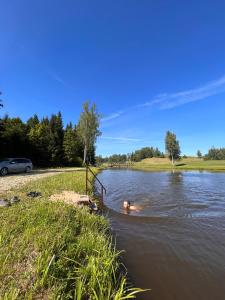 Brīvdienu namiņi Kalnozoli