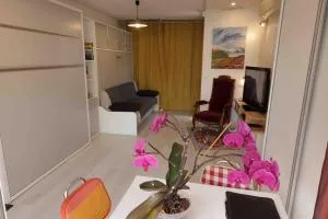 Le VISCOS à AGOS-VIDALOS - 阿戈斯维达洛斯