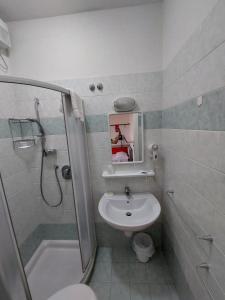 Hotel Zani