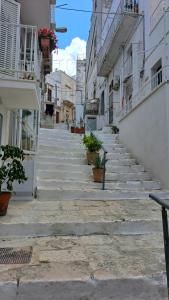 White House #cittabianca