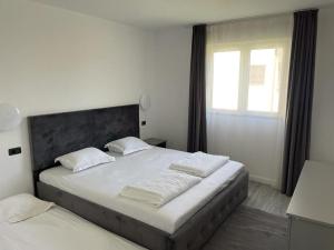 Casa de Vacanță Topaz