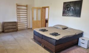 Apartmán na statku 7